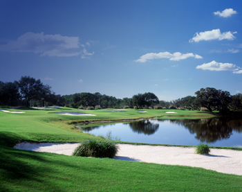 Course greens with a lake clearly reflecting the sky and trees in the water at Bloomingdale Golfers club 