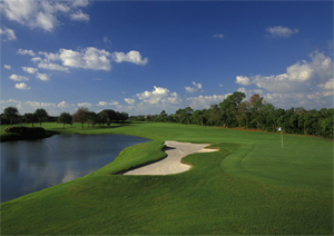 Course greens at the Bayou Club 