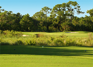 Baytree National Golf Links Greens with trees in the backghround