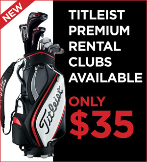 Premium Rental Club Flyer