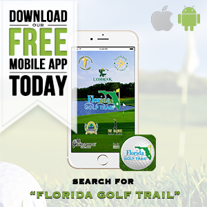 Mobile App Flyer