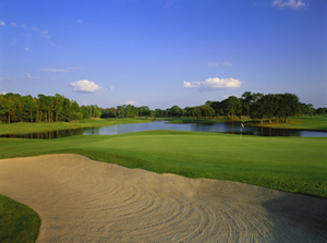 Course greens of Lansbrook Golf Club 