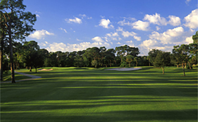 view of golf course green