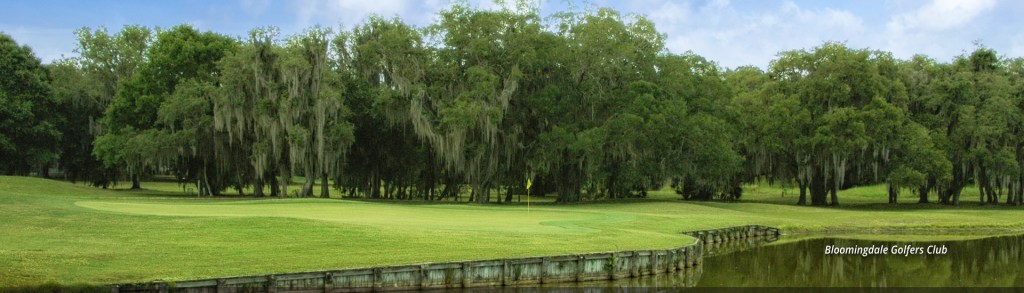 Golf Course green at Bloomingdale Golfers Club